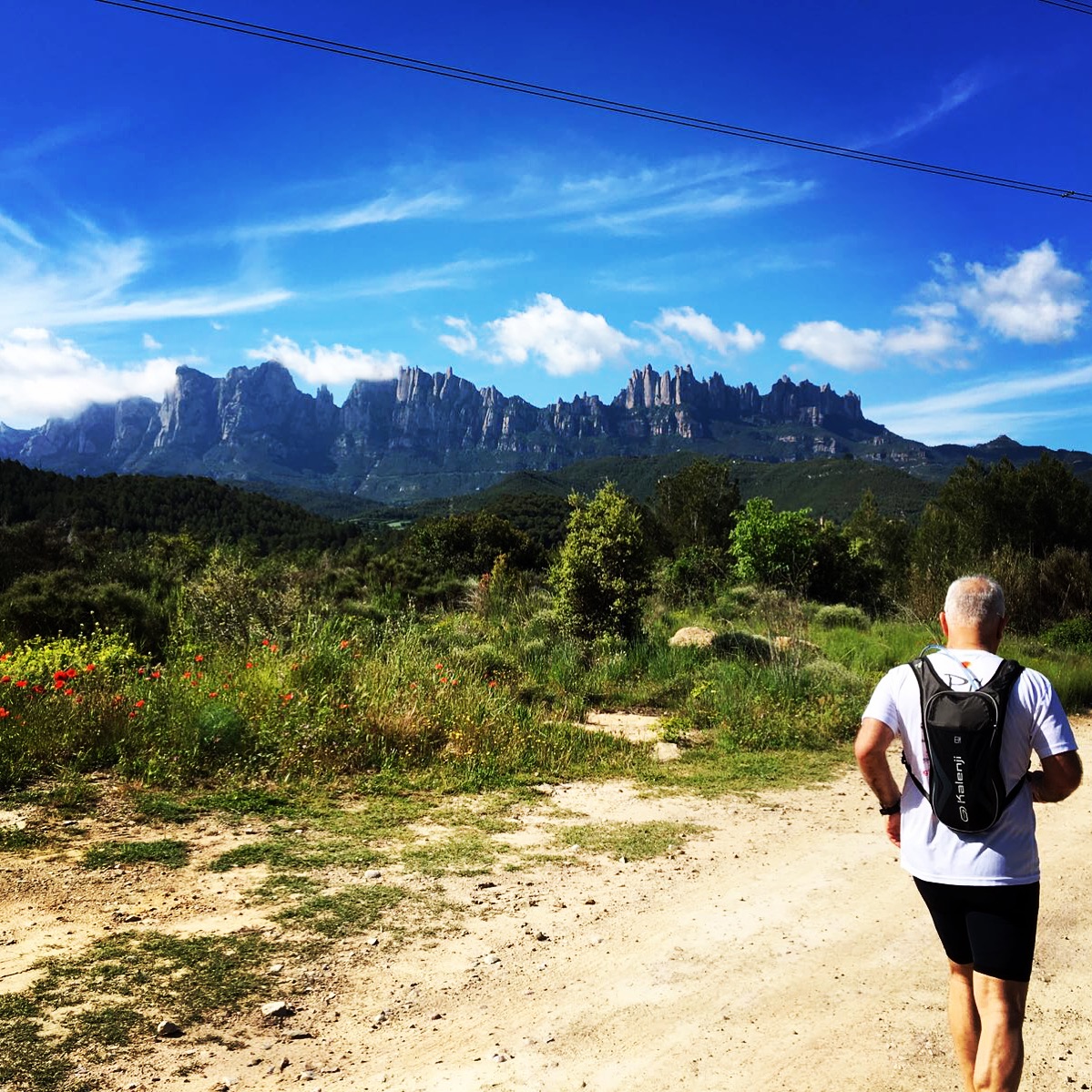 Treballant la pedra bruta  des de 1967...